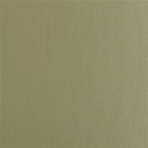 Matara Olive
