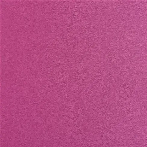 Matara Fuchsia