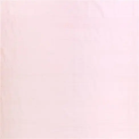 chinon - pale rose