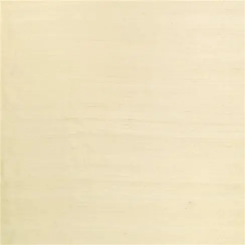 chinon - parchment