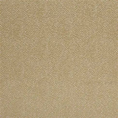 Sesia Olive