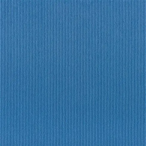 Tammaro Cornflower