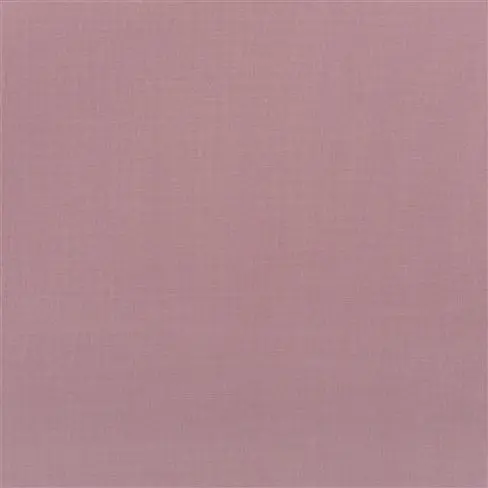 Bellavista Plum