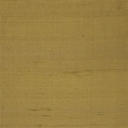 chinon - cumin