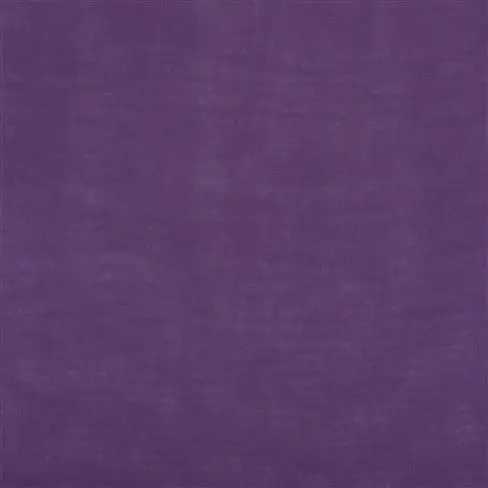 Bellavista Violet