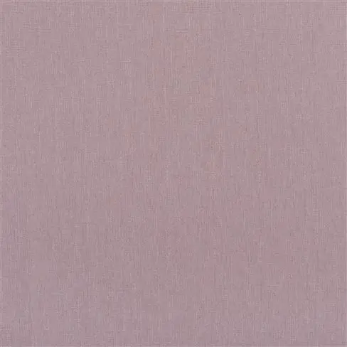 Spinelli Dewberry