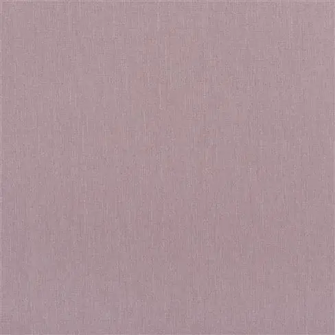 Spinelli Alta Dewberry