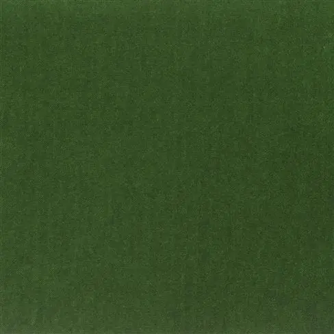 varese - fir