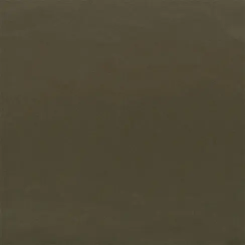 Tizzoro Olive