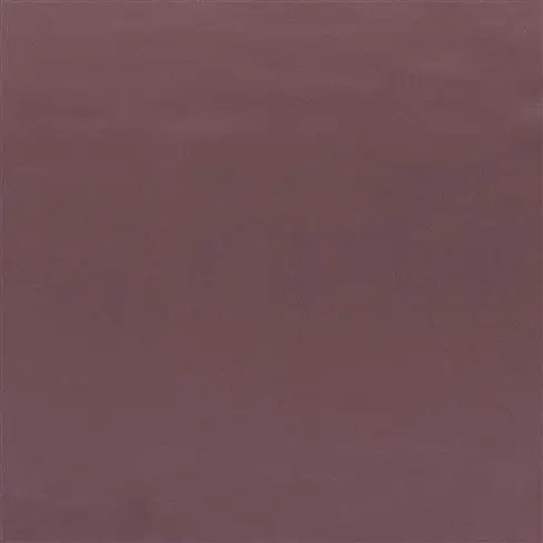 Tizzoro Dewberry
