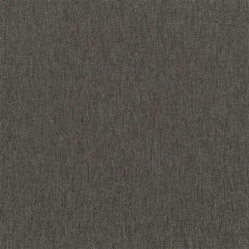 Spinelli Alta Graphite