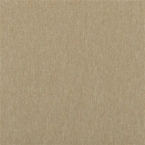 Spinelli Alta Rattan