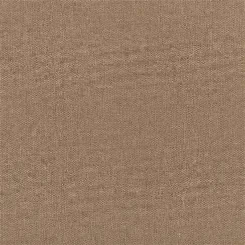 Belloni Moleskin