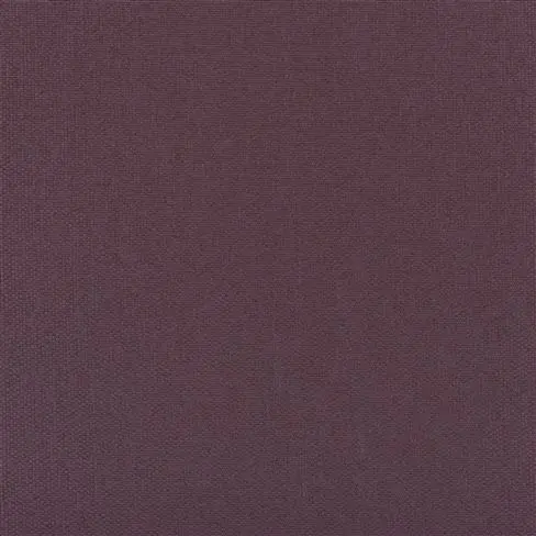 Belloni Plum