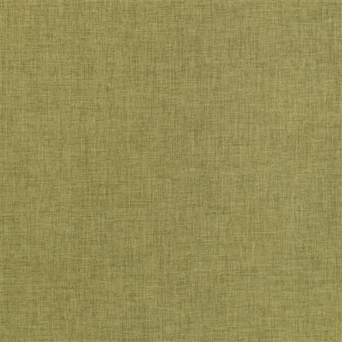 catalan - moss