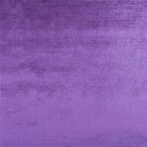 Vicenza Violet
