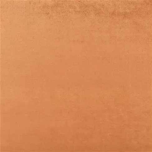 Vicenza Russet
