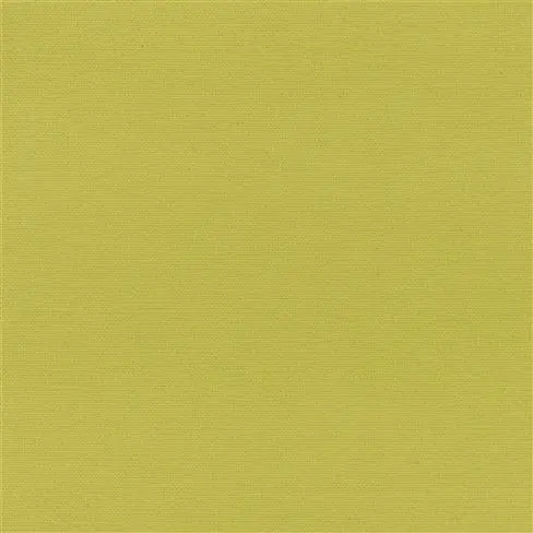 Madrid Lime