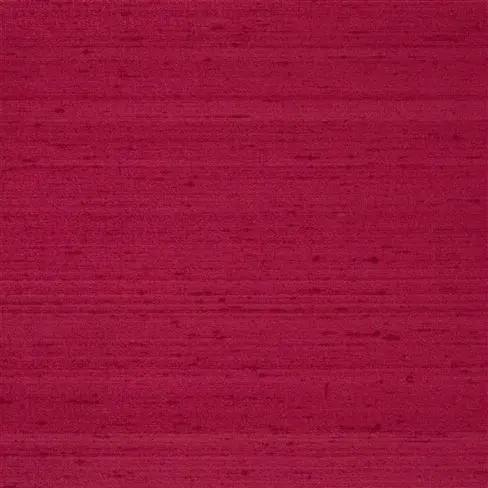 chinon - rouge