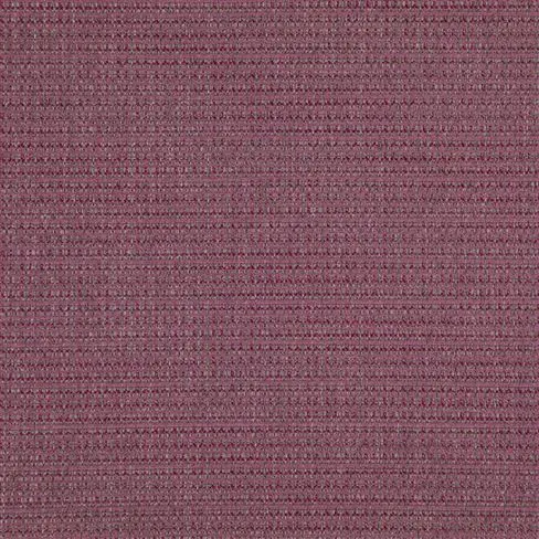 Newton Magenta