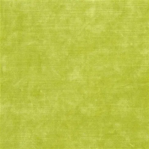glenville - lime