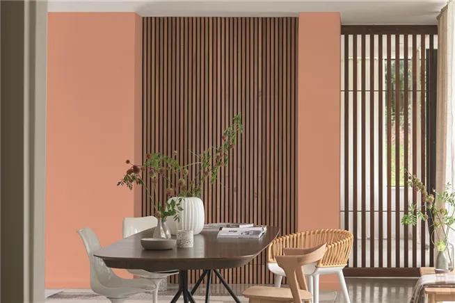 Perfectly Plain Paint