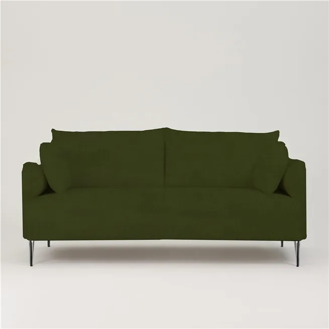 Cassia - Fern
