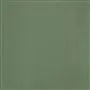 Satinato - Basil Cutting
