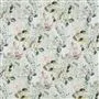 Adachi - Celadon