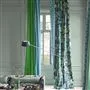 Calozzo Olive