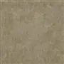 Moyarta - Birch Cutting