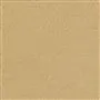 anshu - pale gold