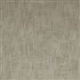 opera - silver birch