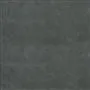 matara lucida - zinc