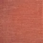 canezza - coral