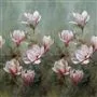 Yulan Magnolia Cutting