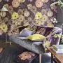 Le Poeme De Fleurs Rosewood