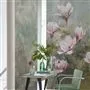 Yulan Magnolia
