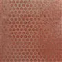 manipur - coral
