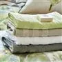 Coniston Birch Towels