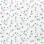 Cosmos - Damson Cutting