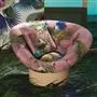 Oiseau Fleur Bourgeon