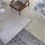Eberson Mink Rug