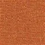skipton - coral