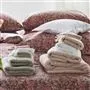 Loweswater Birch Organic Cotton Towels