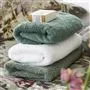 Loweswater Sage Organic Cotton Towels