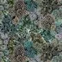 madhya - moss
