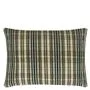 Shastri Natural Cushion