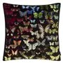 Cosmos Eden Multicolore Cushion - Reverse