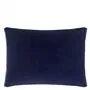 Odisha Cobalt Cushion - Reverse